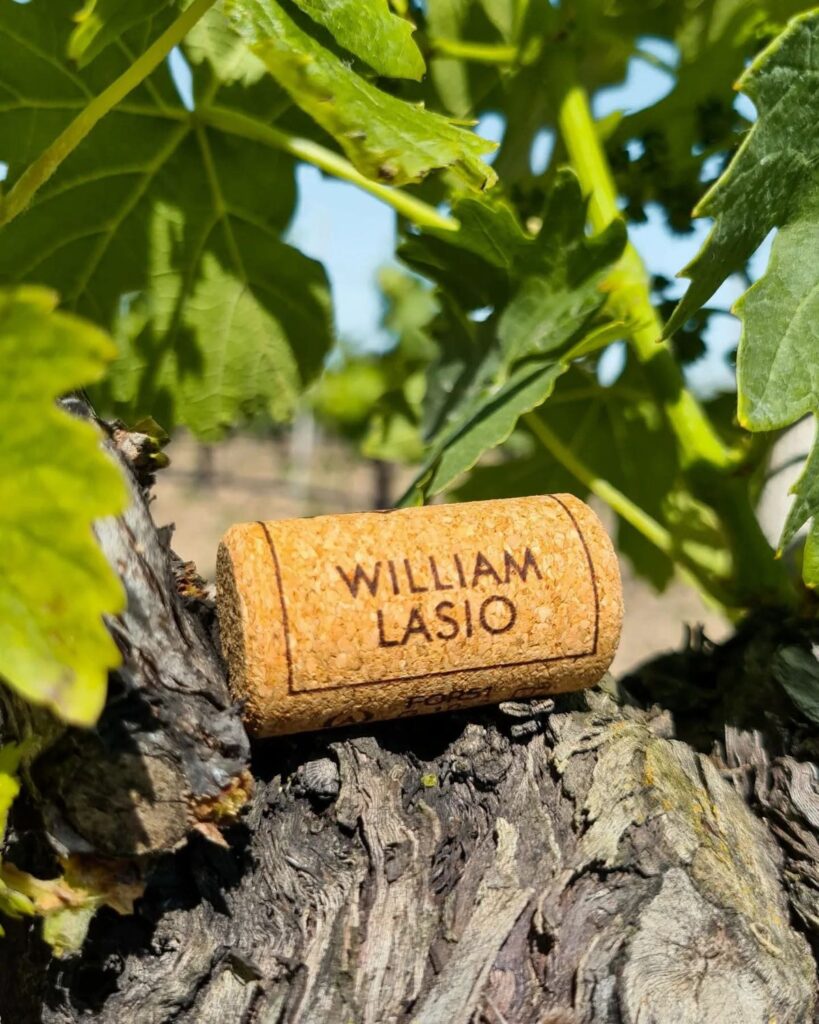 William Lasio Wines – William Lasio Wines