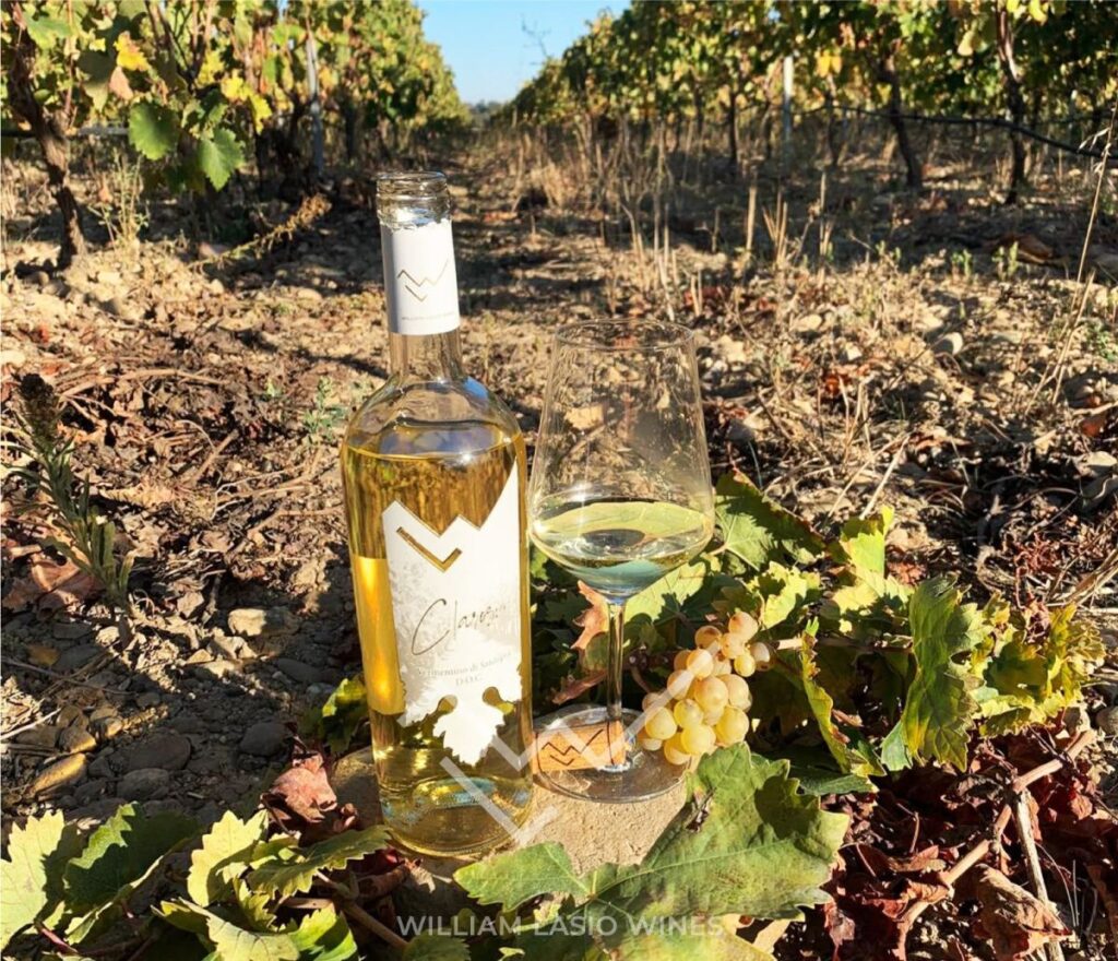 William Lasio Wines – William Lasio Wines