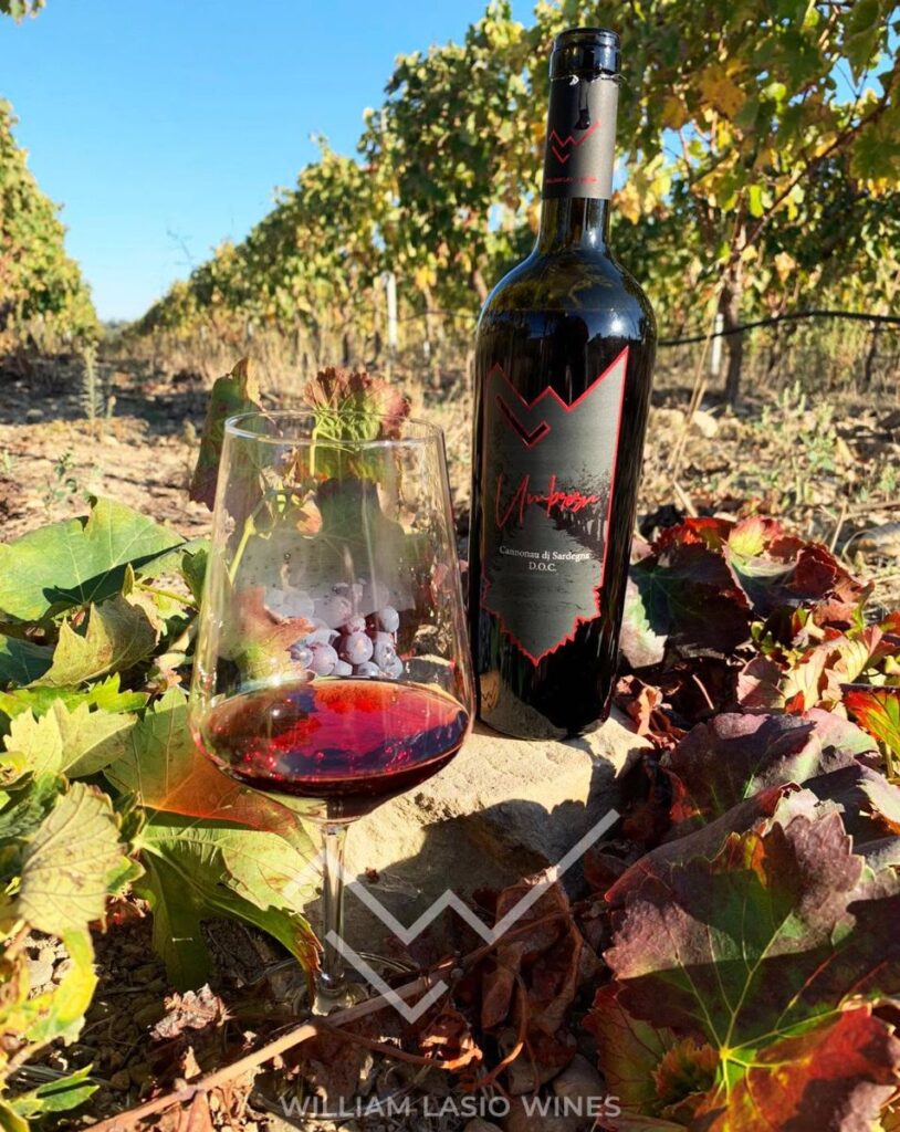 William Lasio Wines – William Lasio Wines