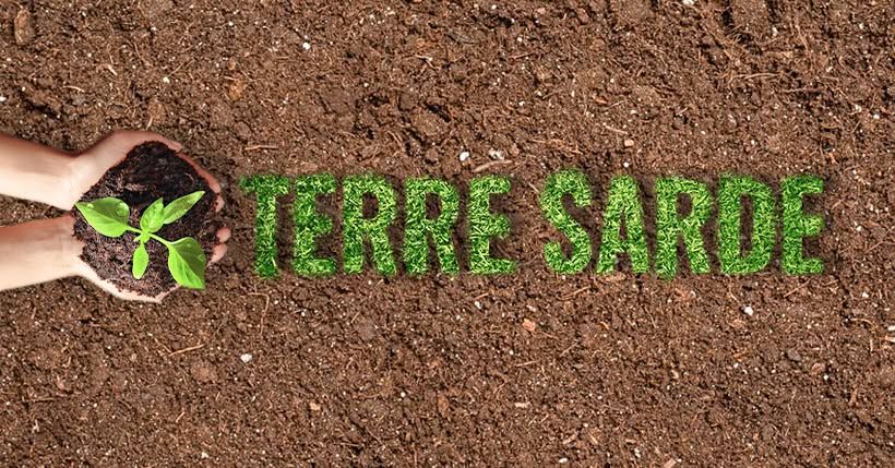 Terre Sarde  – Terre Sarde