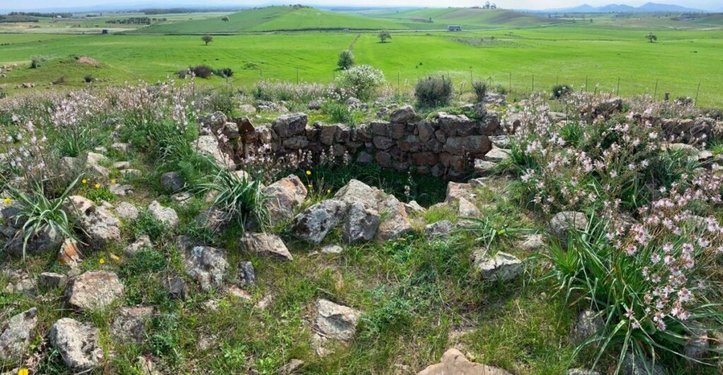 Nuraghe Su Sonadori – Nuraghe Su Sonadori